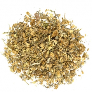 Тысячелистник